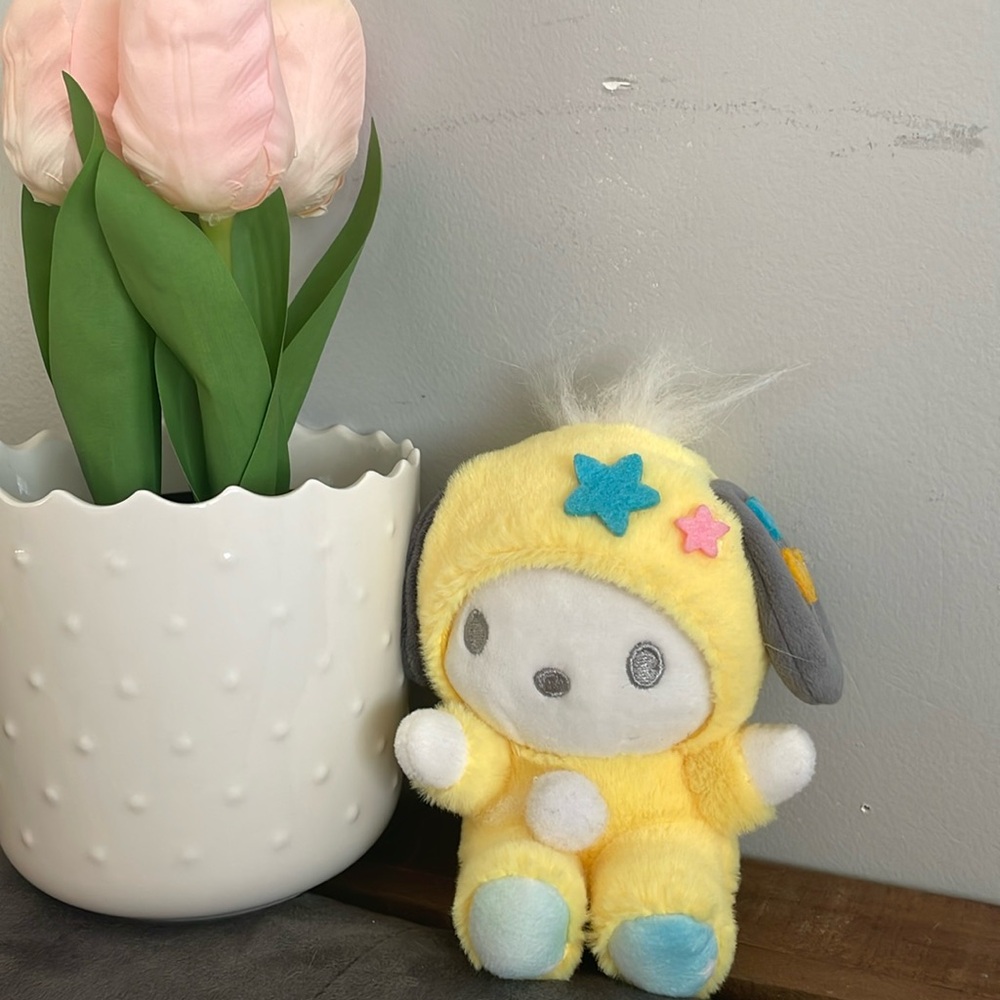 Super cute Sanrio keychain